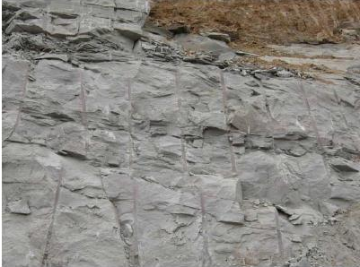 �˹�ɰ�r���Ƭ������cԇ�(y��n)