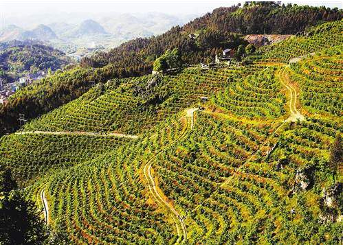中“綠色礦山”發(fā)展歷程大事記