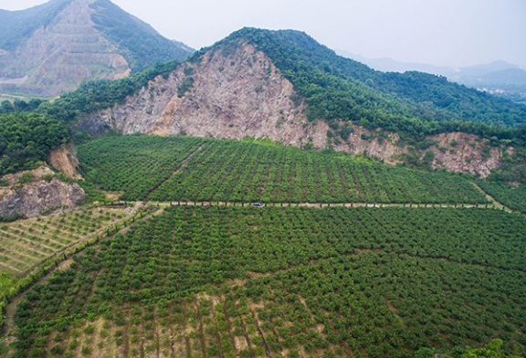 ׌�Gɫ�ɞ�V�I(y��)�l(f��)չ�������{(di��o)