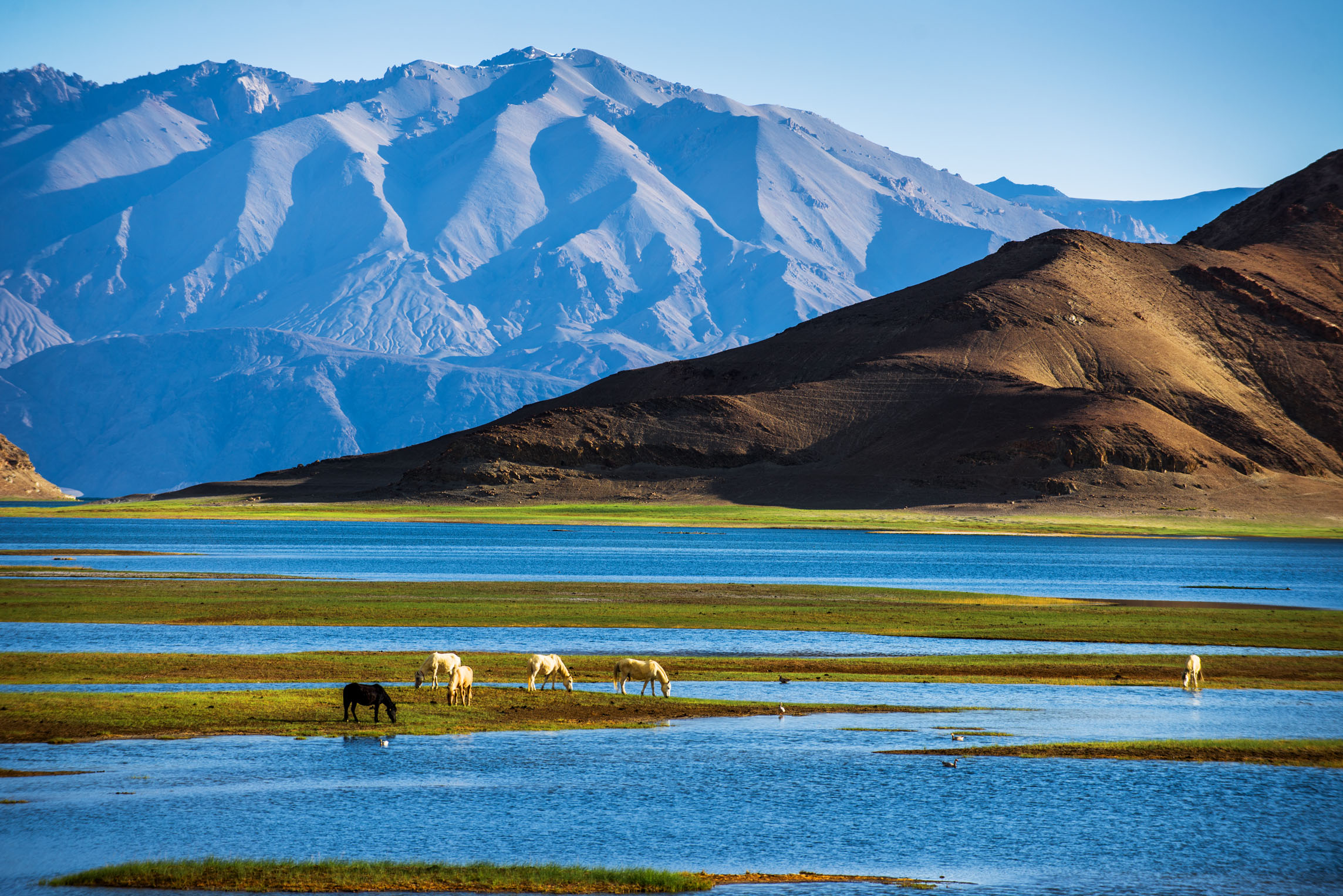 ���߲��T4�����_չ��Ȼ���o(h��)�^(q��)��ʯ����ɰ���(xi��ng)����!